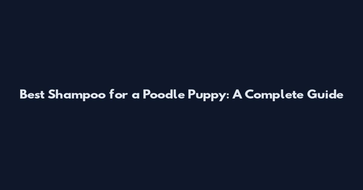 Best Shampoo for a Poodle Puppy: A Complete Guide
