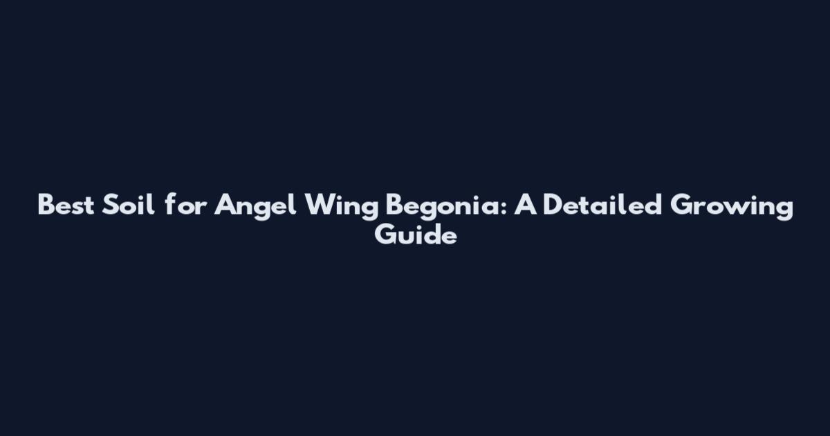 Best Soil for Angel Wing Begonia: A Detailed Growing Guide