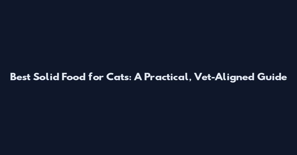 Best Solid Food for Cats: A Practical, Vet-Aligned Guide