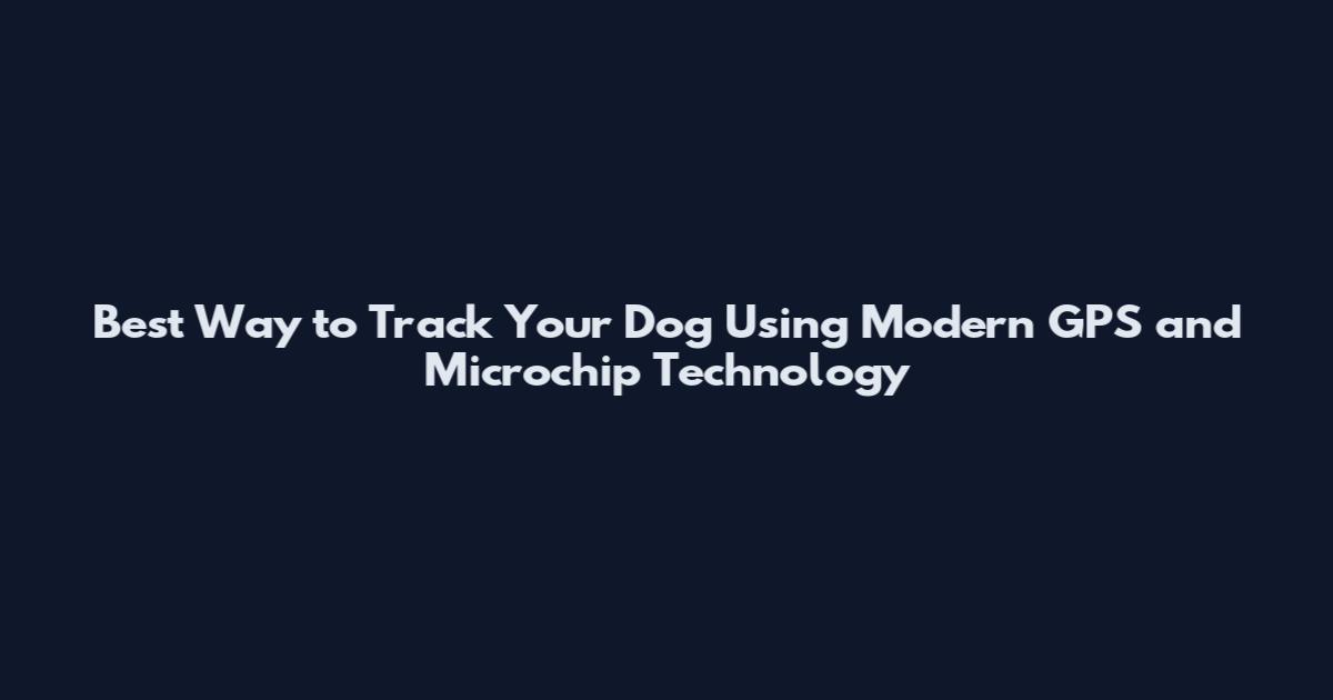 Best Way to Track Your Dog Using Modern GPS and Microchip Technology