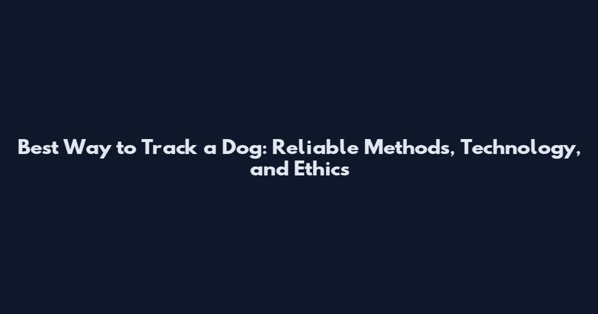 Best Way to Track a Dog: Reliable Methods, Technology, and Ethics