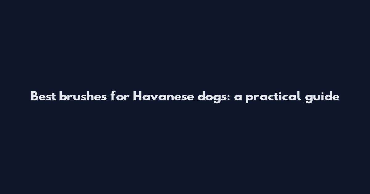 Best brushes for Havanese dogs: a practical guide