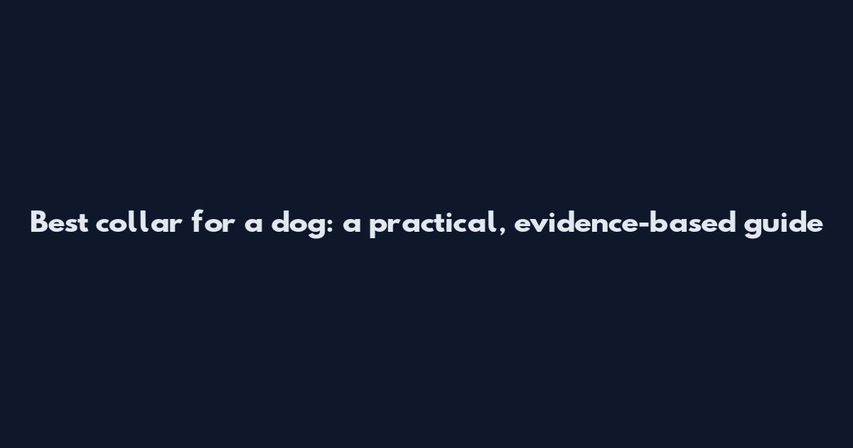 Best collar for a dog: a practical, evidence-based guide