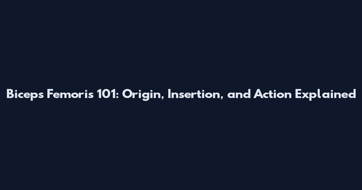 Biceps Femoris 101: Origin, Insertion, and Action Explained