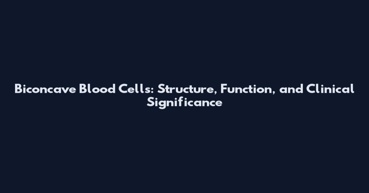 Biconcave Blood Cells: Structure, Function, and Clinical Significance