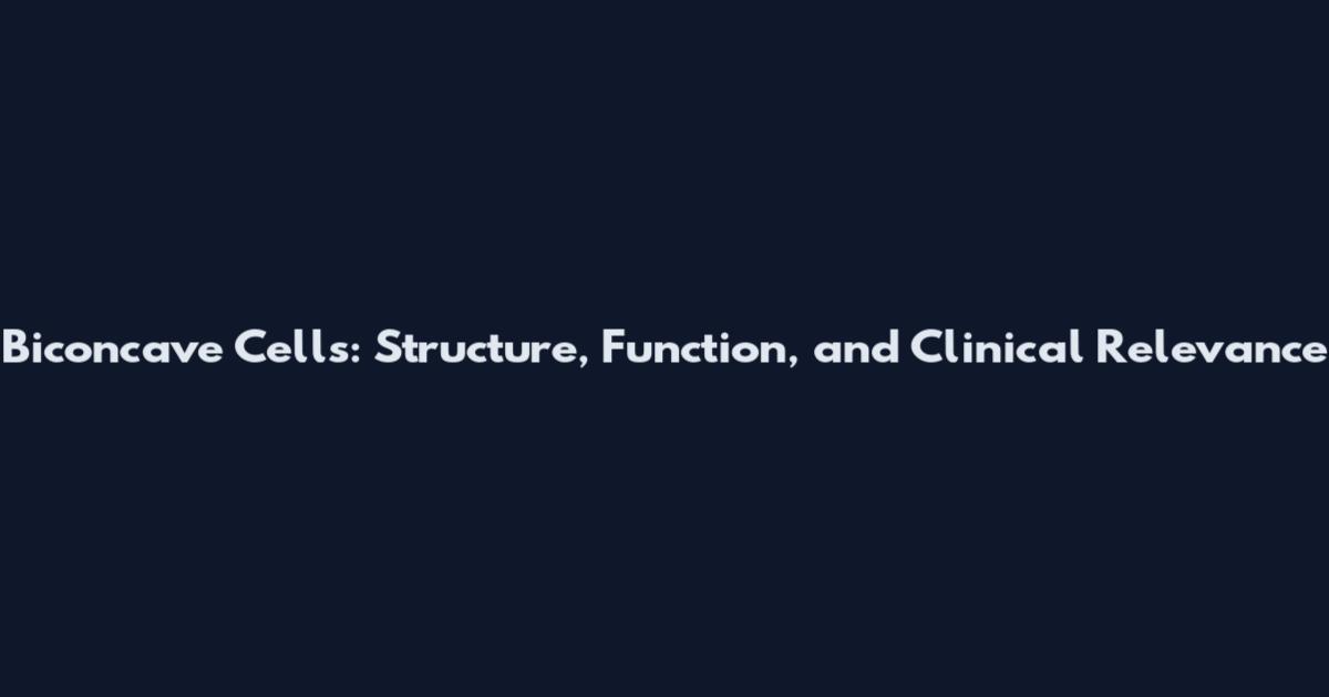 Biconcave Cells: Structure, Function, and Clinical Relevance