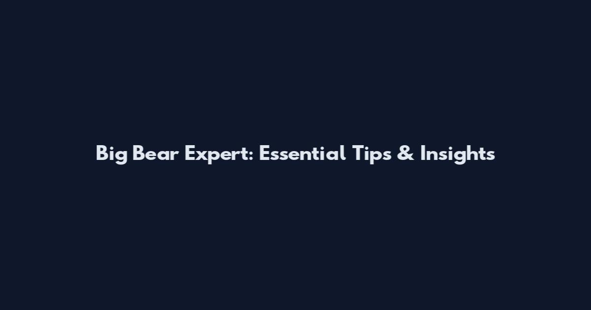 Big Bear Expert: Essential Tips & Insights