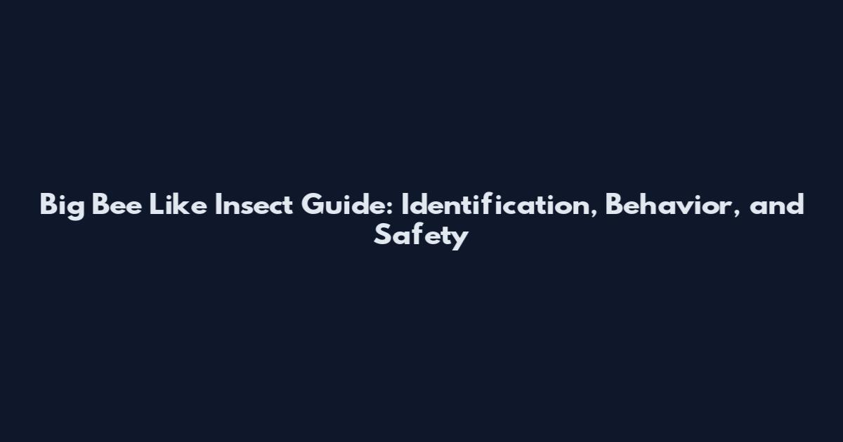 Big Bee Like Insect Guide: Identification, Behavior, and Safety