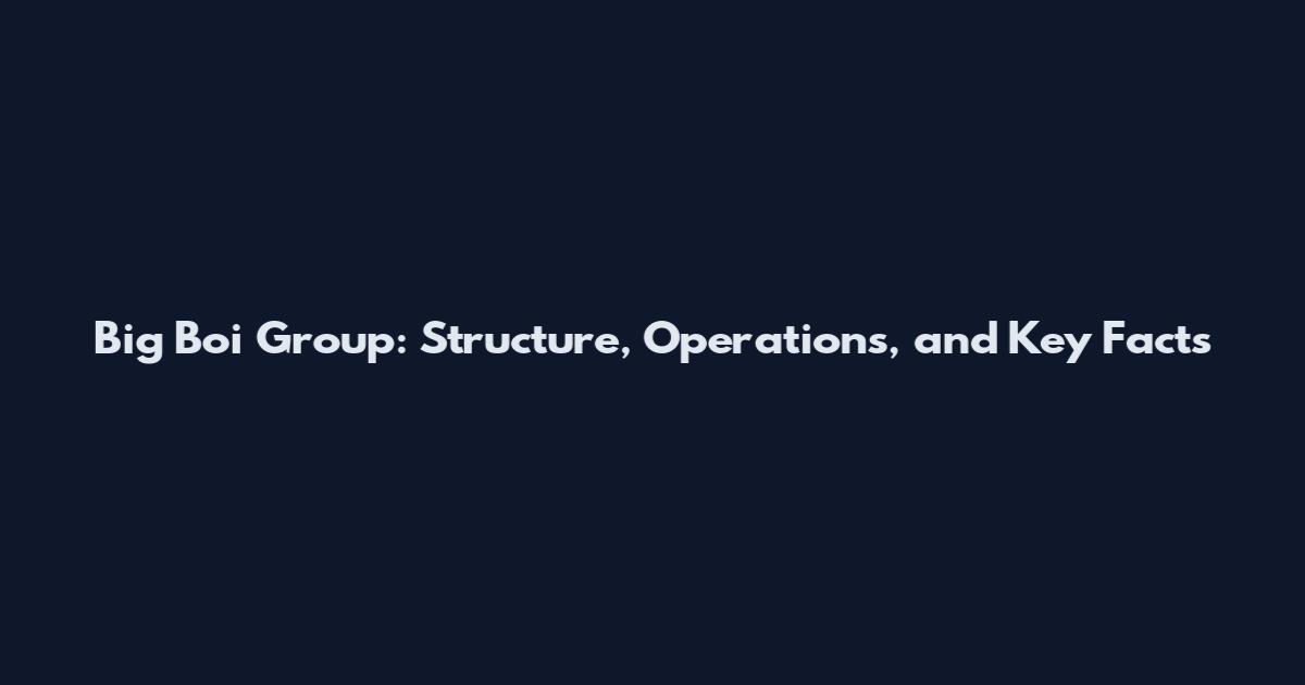 Big Boi Group: Structure, Operations, and Key Facts