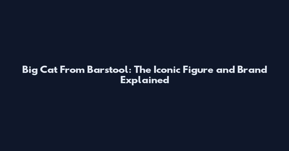 Big Cat From Barstool: The Iconic Figure and Brand Explained