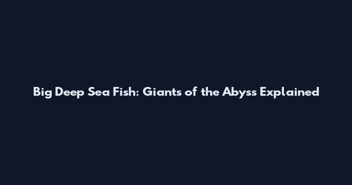 Big Deep Sea Fish: Giants of the Abyss Explained