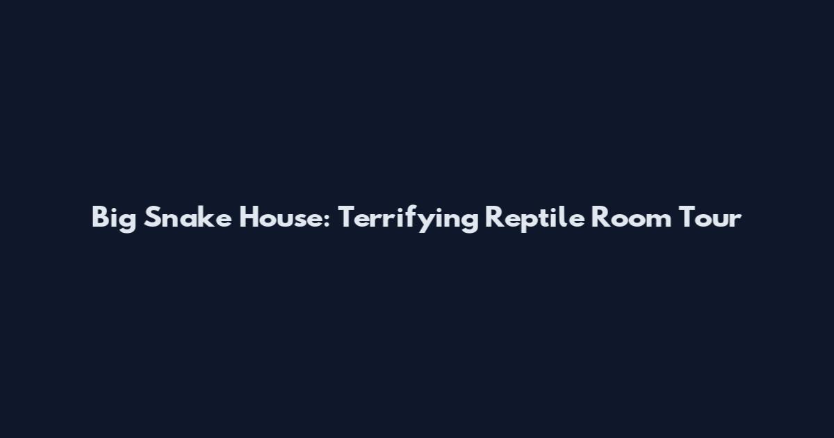 Big Snake House: Terrifying Reptile Room Tour