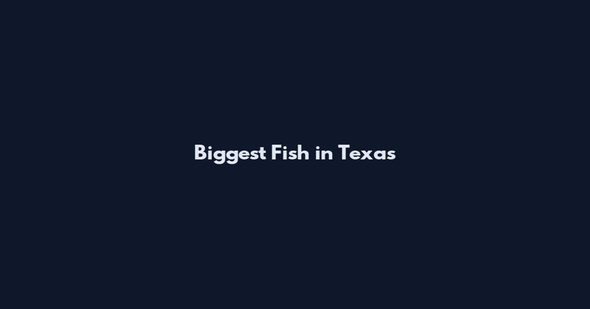 Biggest Fish in Texas