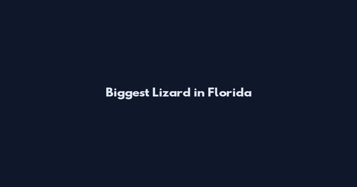 Biggest Lizard in Florida