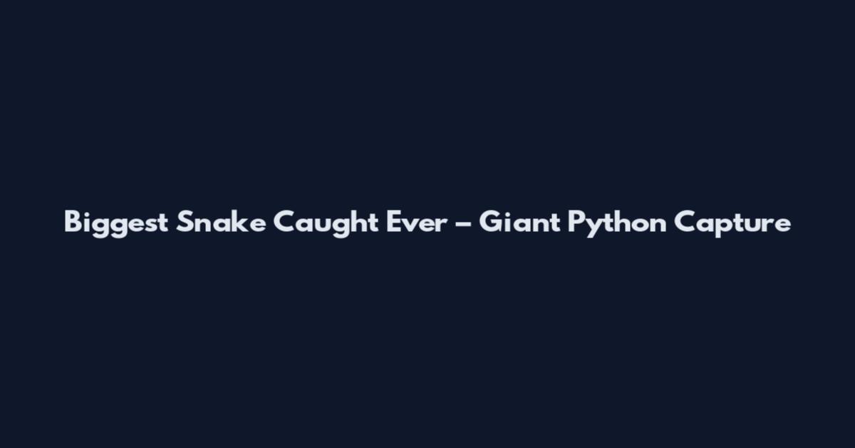 Biggest Snake Caught Ever – Giant Python Capture