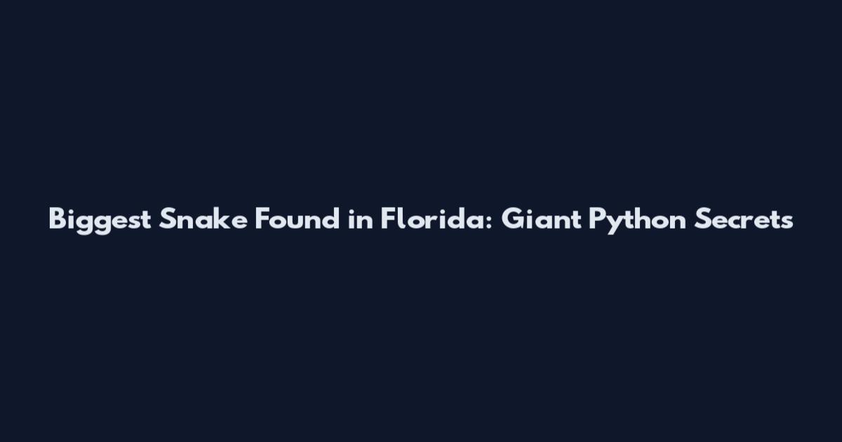 Biggest Snake Found in Florida: Giant Python Secrets