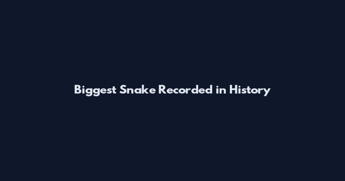 Biggest Snake Recorded in History