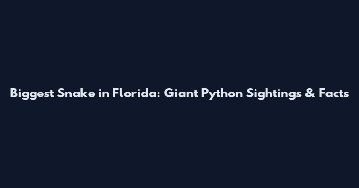 Biggest Snake in Florida: Giant Python Sightings & Facts