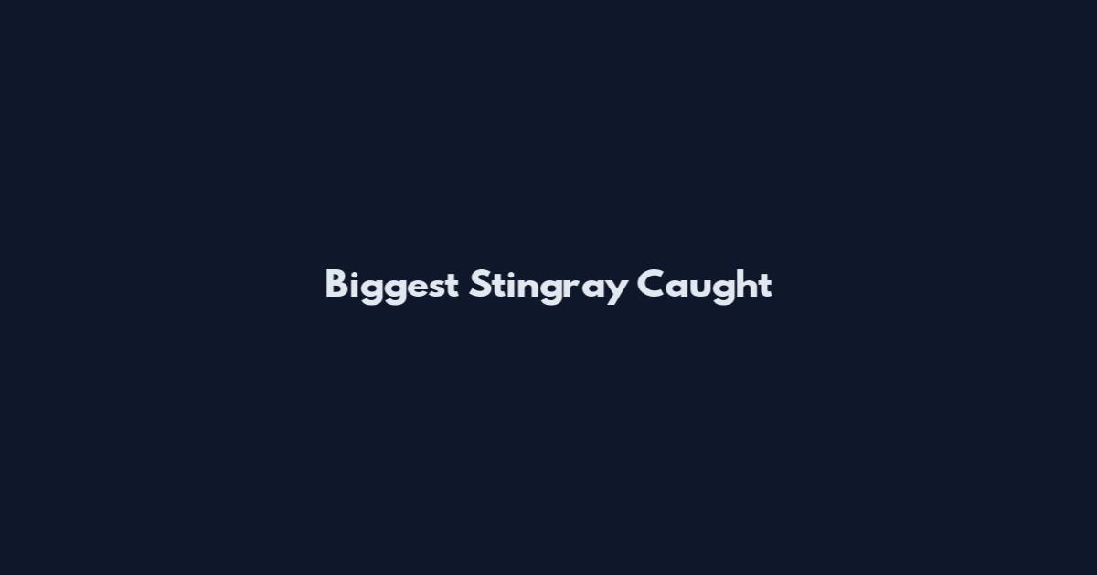 Biggest Stingray Caught