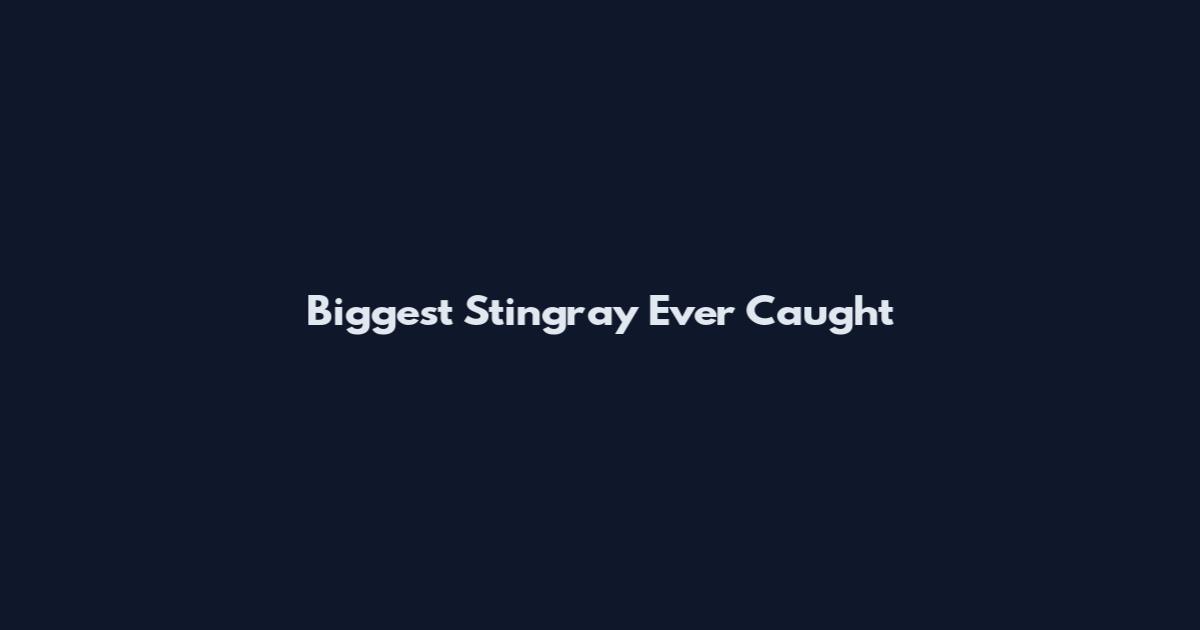 Biggest Stingray Ever Caught
