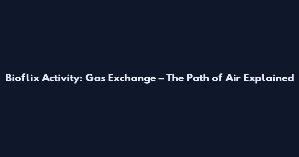Bioflix Activity: Gas Exchange – The Path of Air Explained