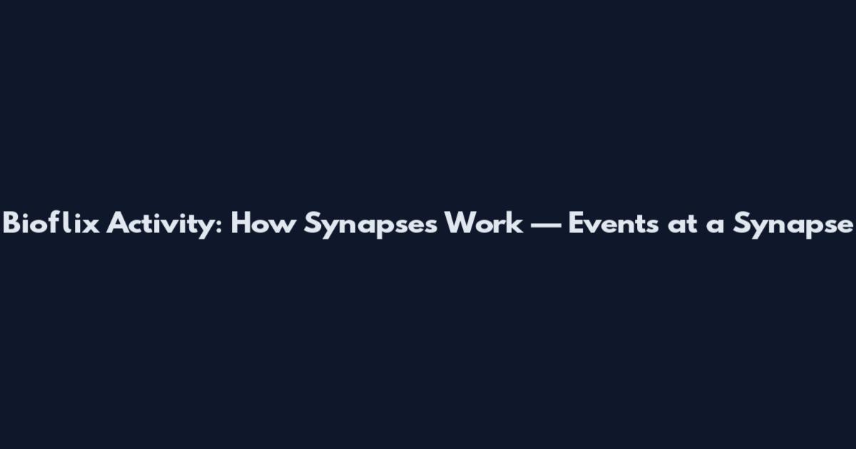 Bioflix Activity: How Synapses Work — Events at a Synapse