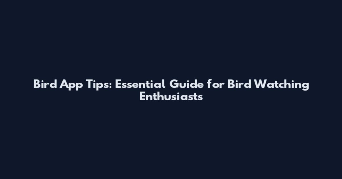 Bird App Tips: Essential Guide for Bird Watching Enthusiasts