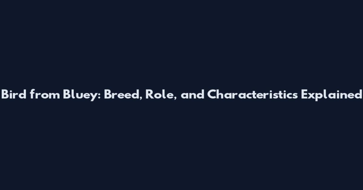 Bird from Bluey: Breed, Role, and Characteristics Explained