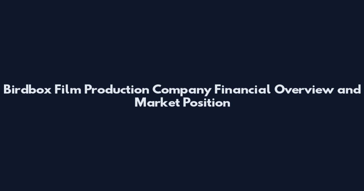 Birdbox Film Production Company Financial Overview and Market Position
