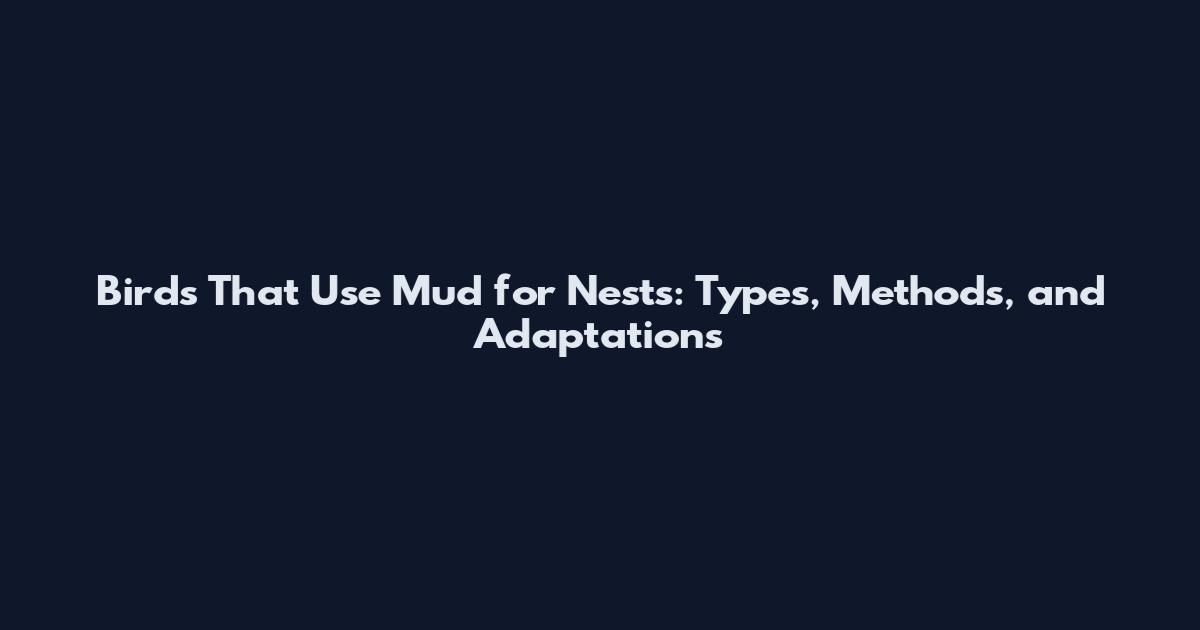 Birds That Use Mud for Nests: Types, Methods, and Adaptations