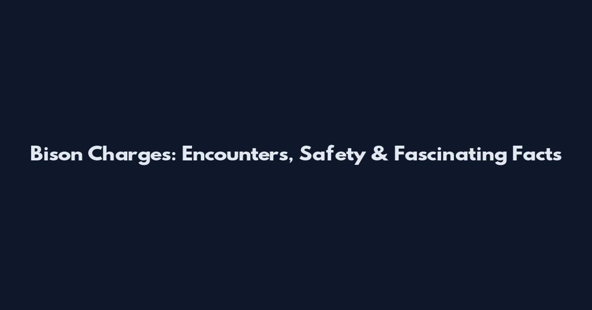 Bison Charges: Encounters, Safety & Fascinating Facts
