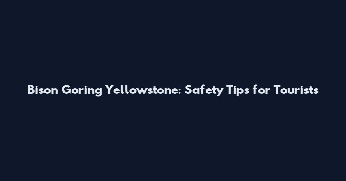 Bison Goring Yellowstone: Safety Tips for Tourists