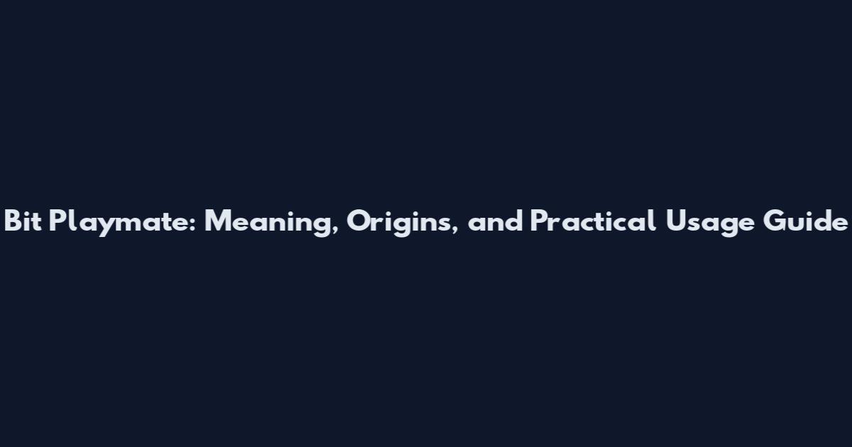 Bit Playmate: Meaning, Origins, and Practical Usage Guide