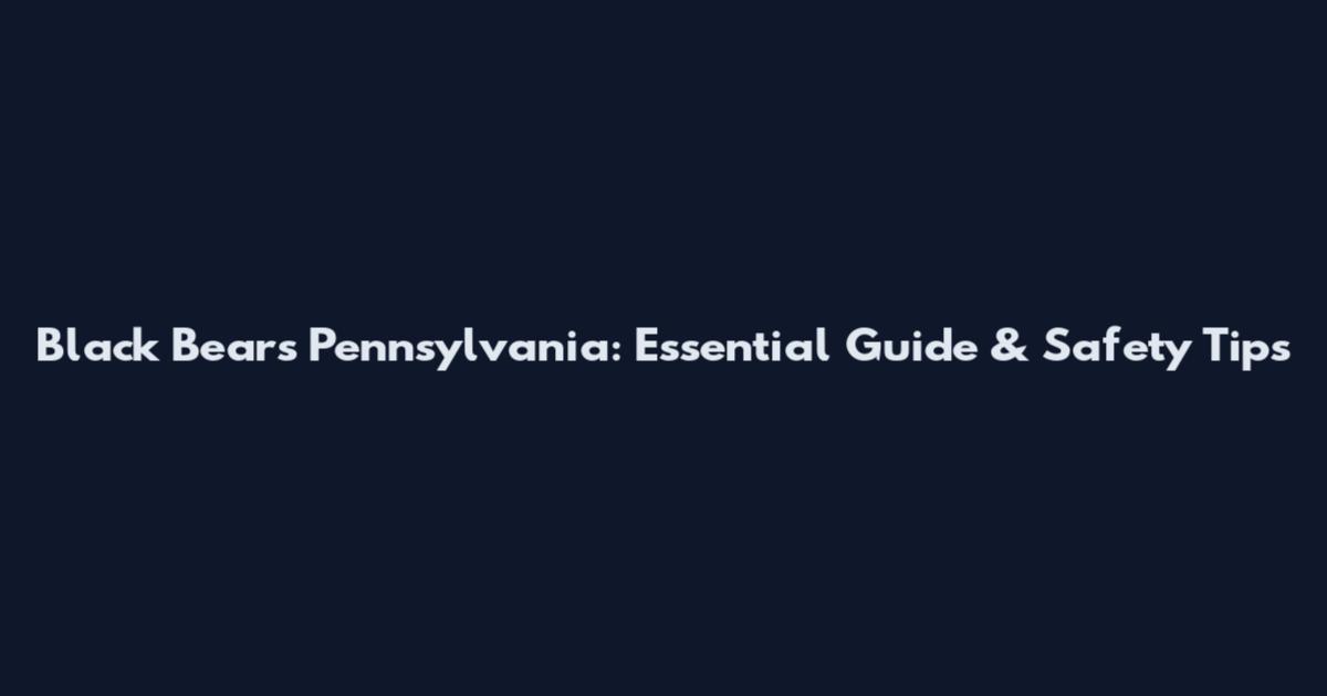 Black Bears Pennsylvania: Essential Guide & Safety Tips