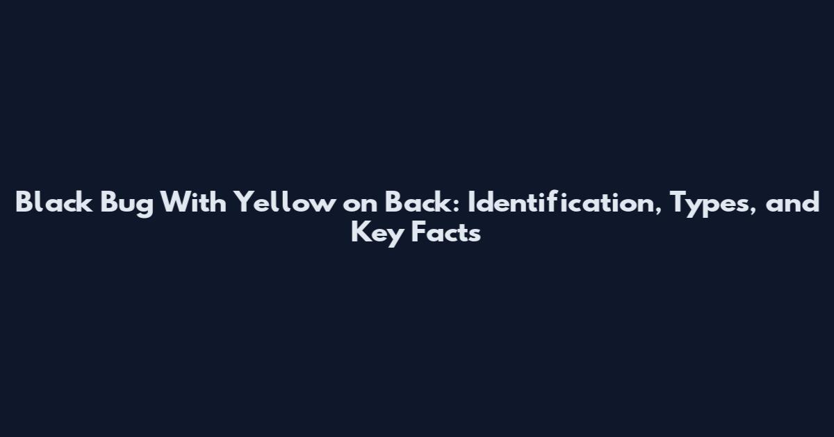 Black Bug With Yellow on Back: Identification, Types, and Key Facts