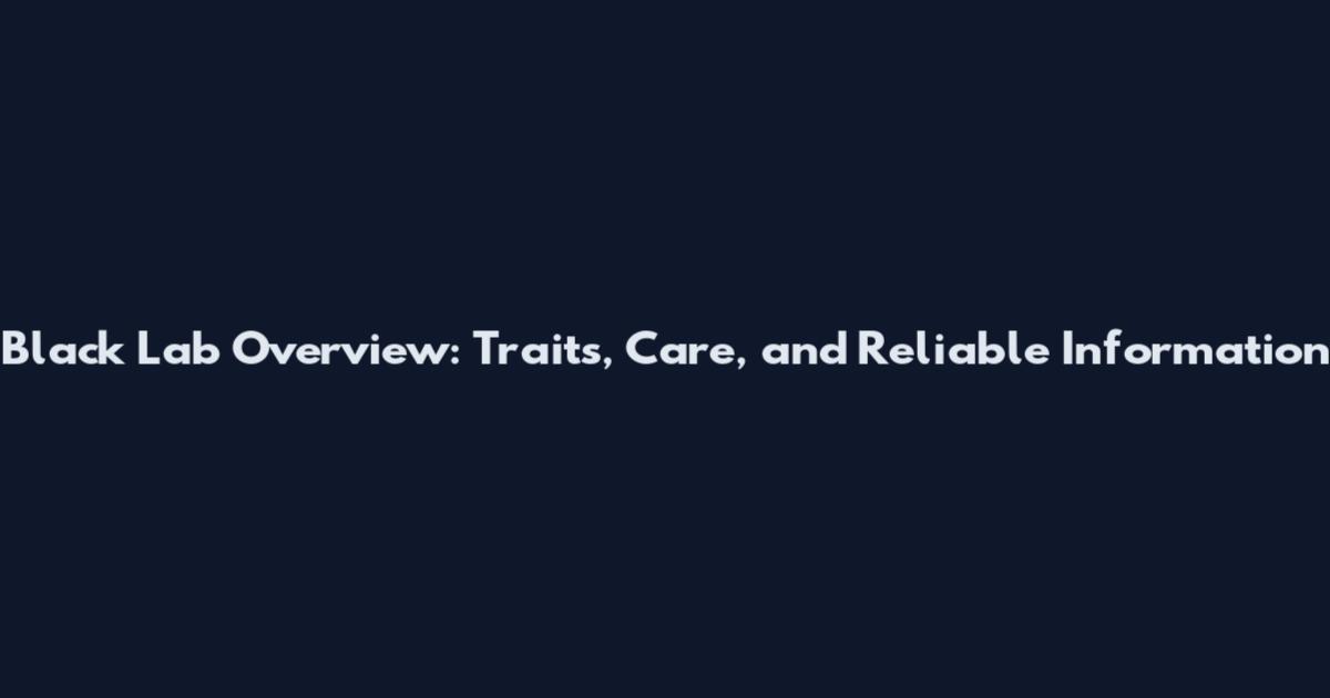Black Lab Overview: Traits, Care, and Reliable Information