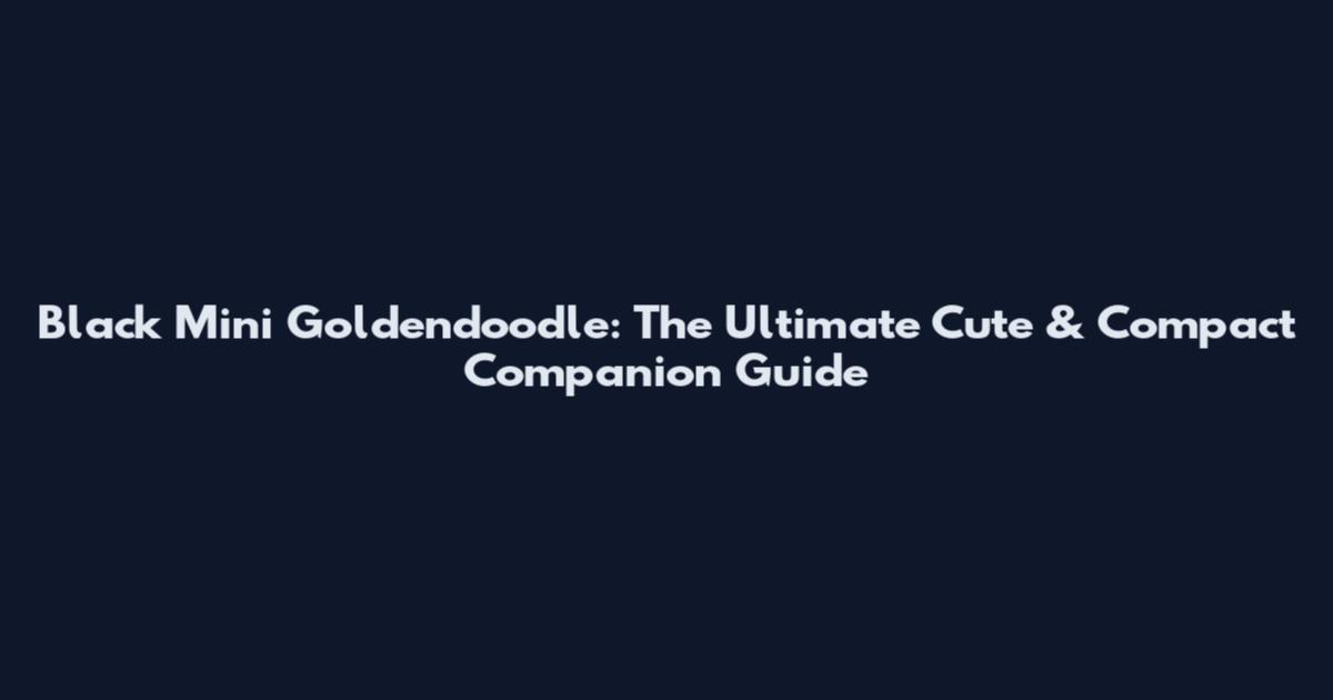 Black Mini Goldendoodle: The Ultimate Cute & Compact Companion Guide