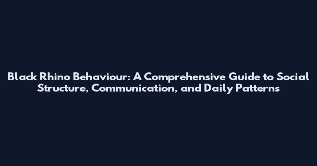 Black Rhino Behaviour: A Comprehensive Guide to Social Structure, Communication, and Daily Patterns