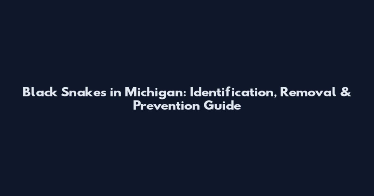 Black Snakes in Michigan: Identification, Removal & Prevention Guide