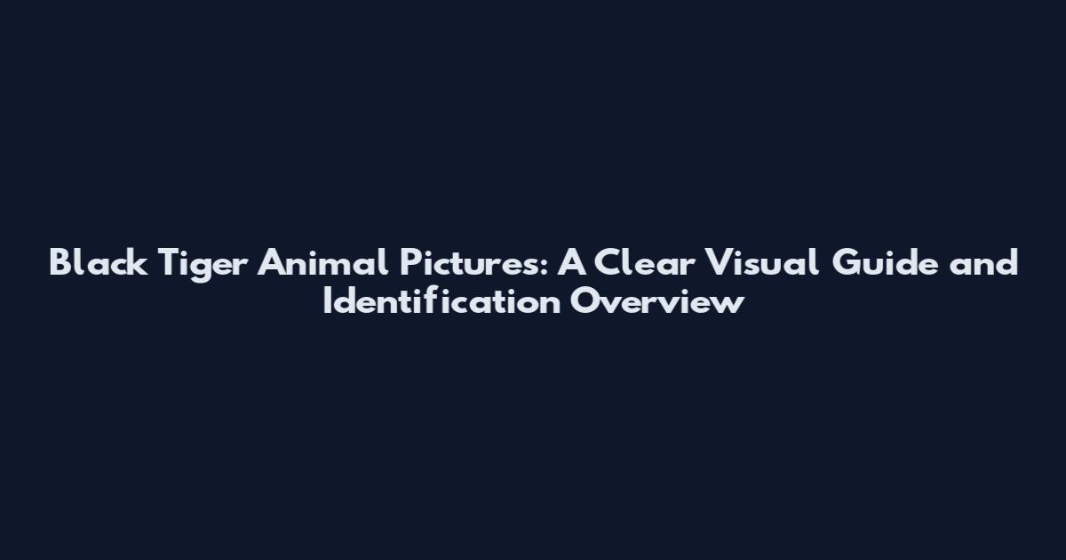 Black Tiger Animal Pictures: A Clear Visual Guide and Identification Overview