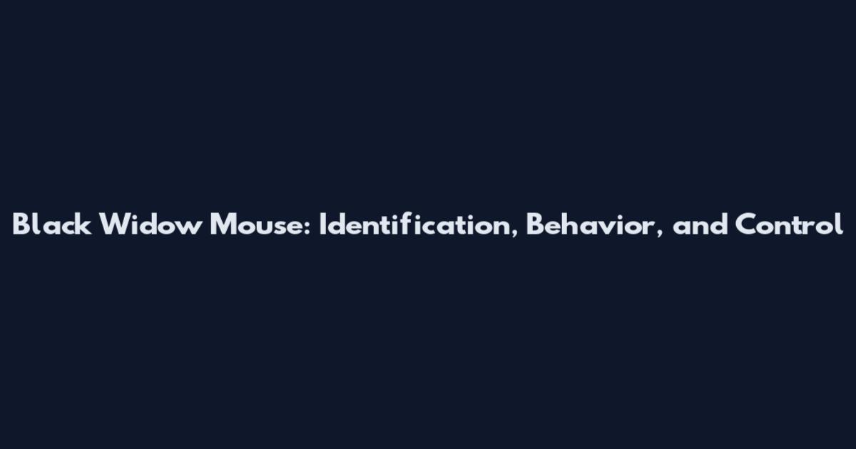 Black Widow Mouse: Identification, Behavior, and Control