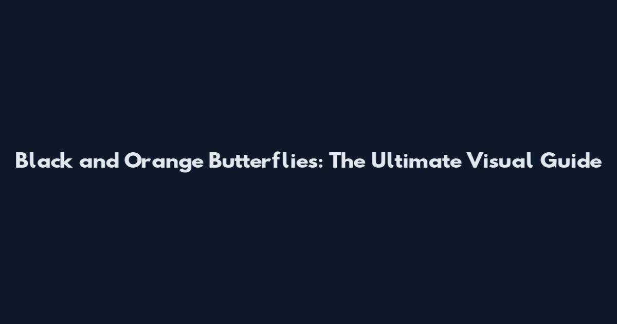 Black and Orange Butterflies: The Ultimate Visual Guide
