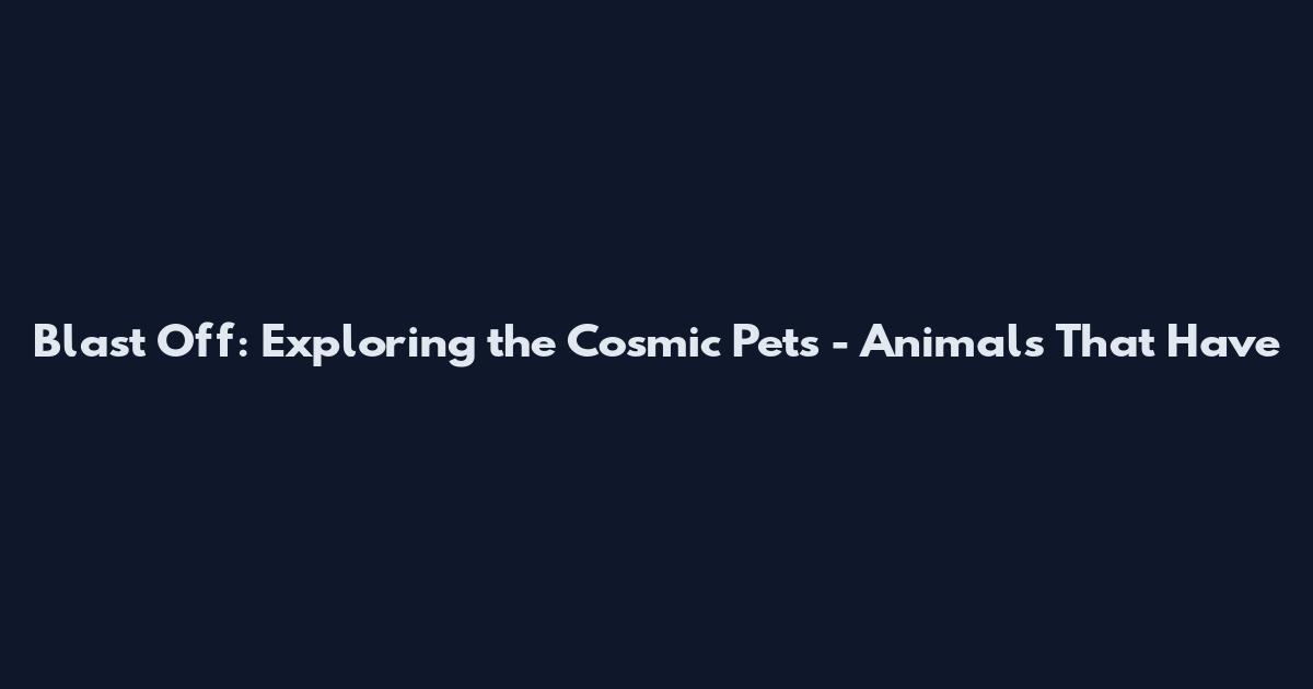 Blast Off: Exploring the Cosmic Pets - Animals That Have