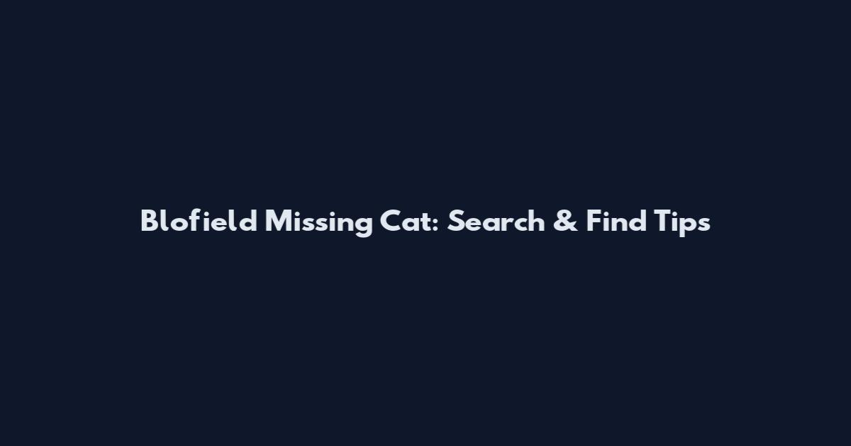 Blofield Missing Cat: Search & Find Tips