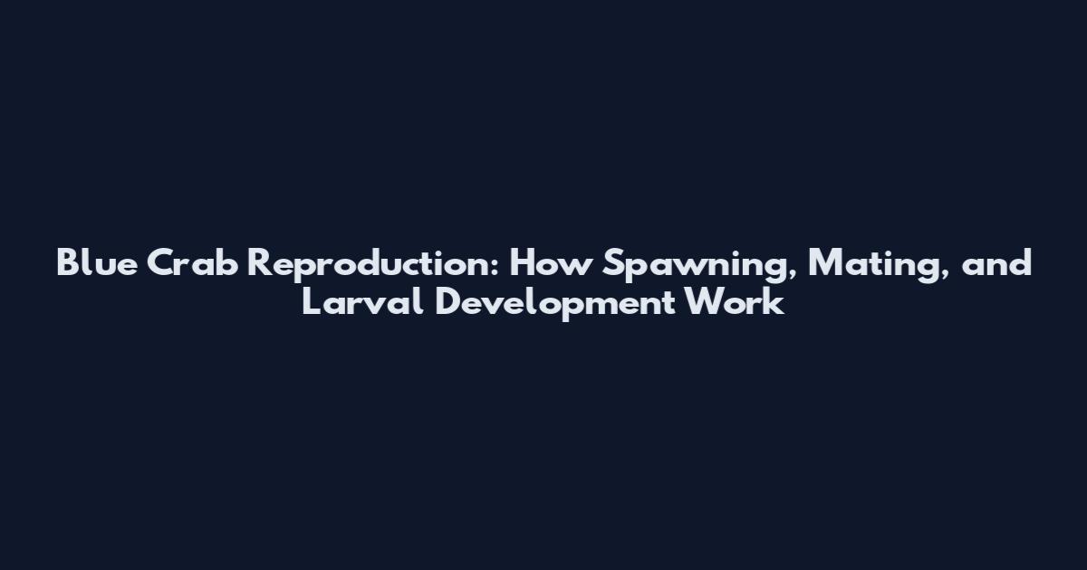 Blue Crab Reproduction: How Spawning, Mating, and Larval Development Work