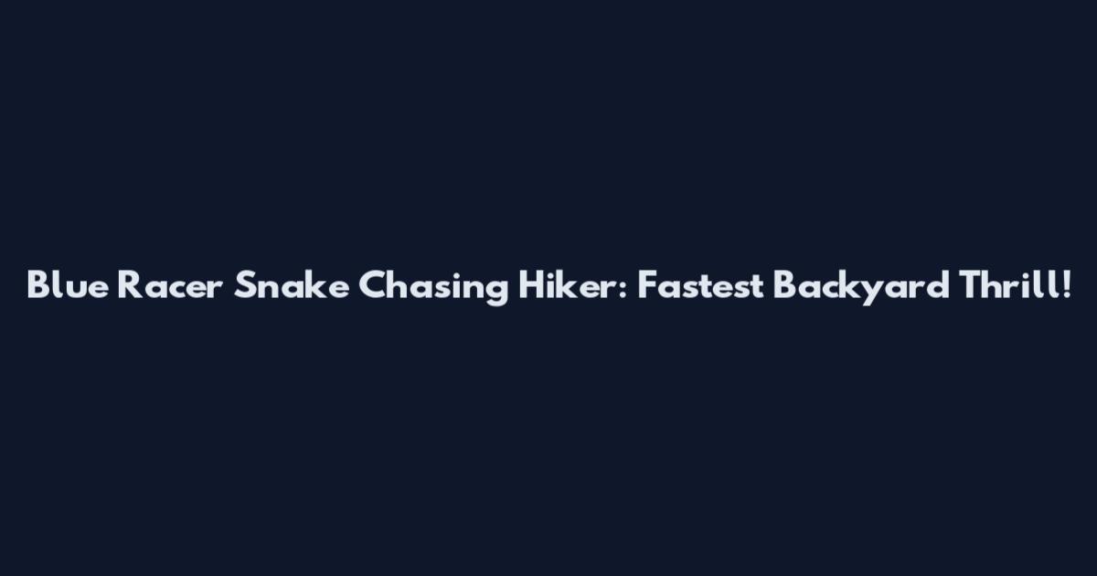 Blue Racer Snake Chasing Hiker: Fastest Backyard Thrill!