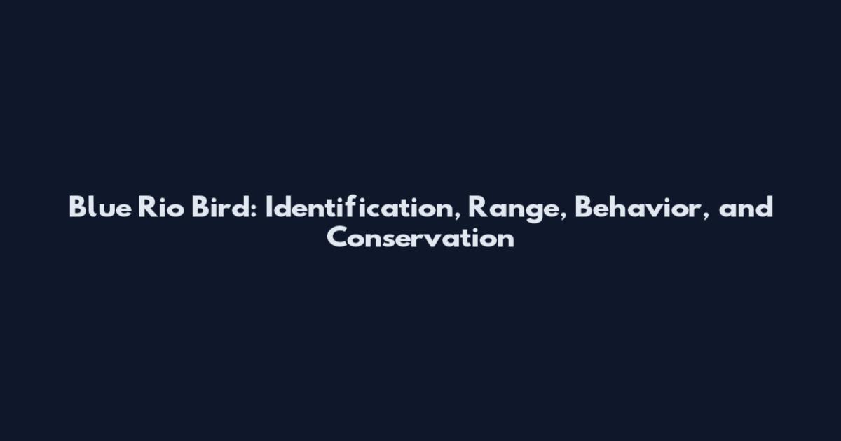 Blue Rio Bird: Identification, Range, Behavior, and Conservation