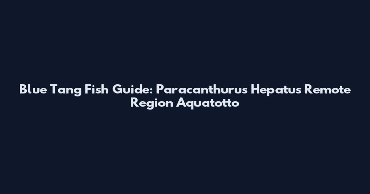 Blue Tang Fish Guide: Paracanthurus Hepatus Remote Region Aquatotto