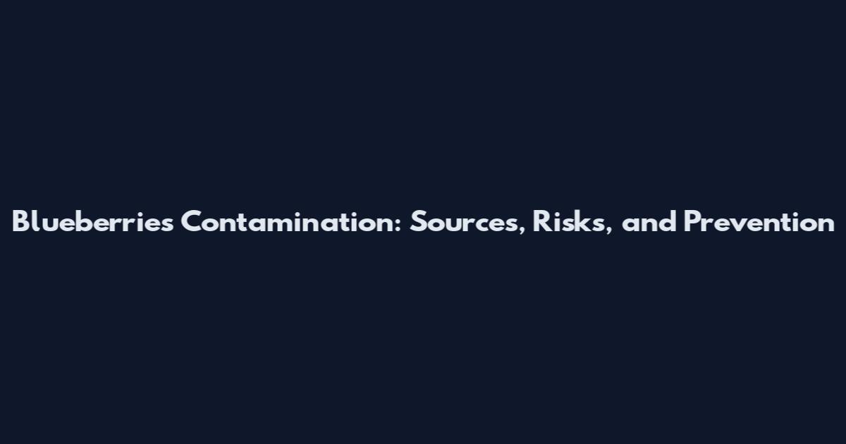 Blueberries Contamination: Sources, Risks, and Prevention