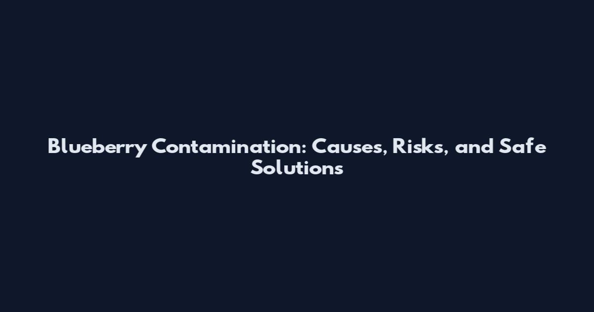 Blueberry Contamination: Causes, Risks, and Safe Solutions